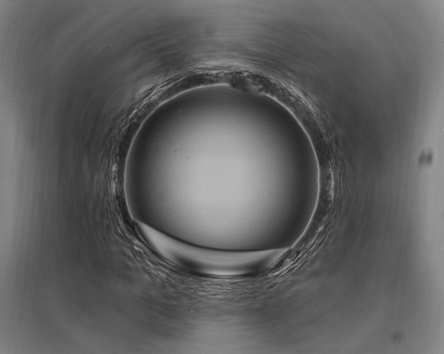 X0000095550965200712141551