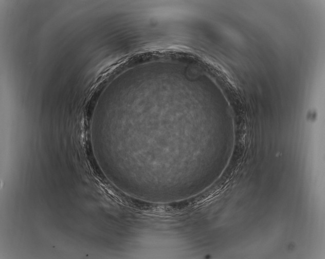 X0000095550966200712141551