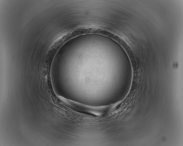 X0000095550967200712141551