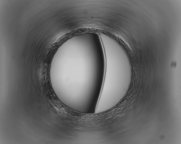 X0000095550968200712141551