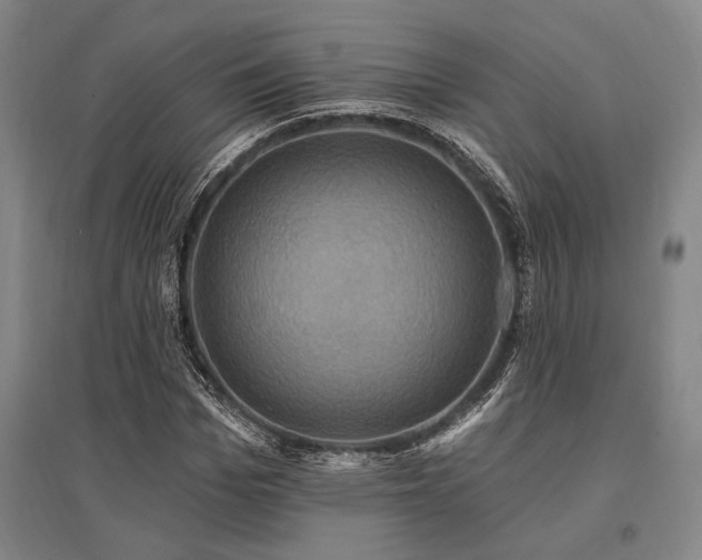 X0000095550969200712141551