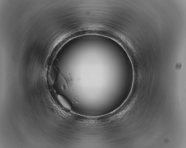 X0000095550970200712141551