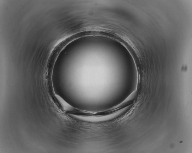 X0000095550971200712141551