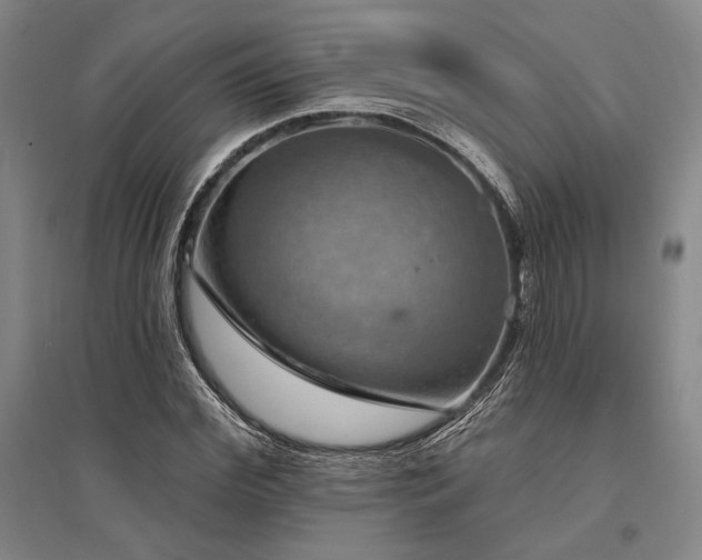 X0000095550972200712141551