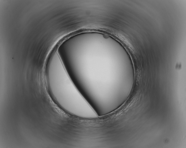 X0000095550976200712141551