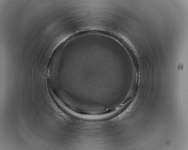 X0000095550977200712141551