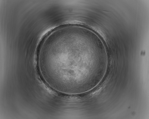 X0000095550979200712141551