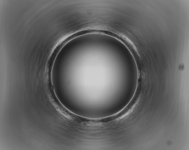 X0000095550981200712141551