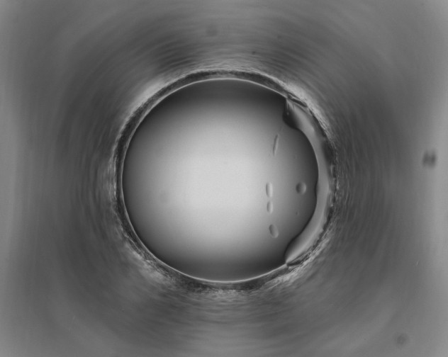 X0000095550982200712141551