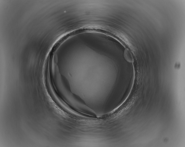 X0000095550984200712141551