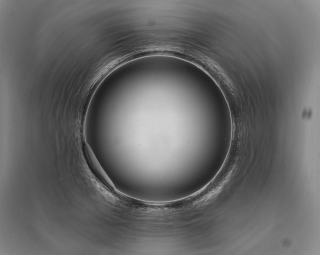 X0000095550985200712141551