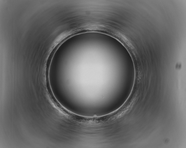 X0000095550986200712141551