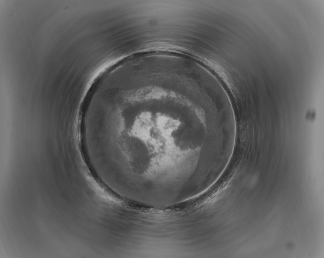 X0000095550987200712141551