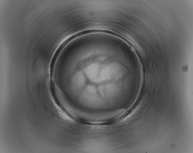 X0000095550988200712141551