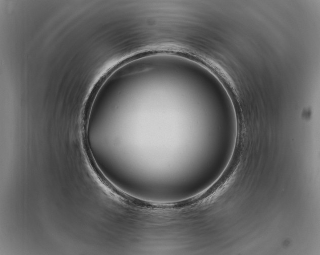 X0000095550989200712141551