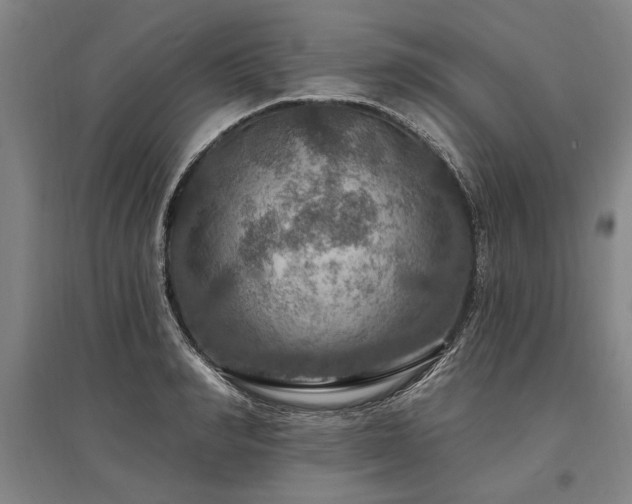 X0000095550990200712141551