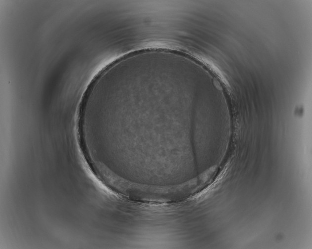 X0000095550991200712141551