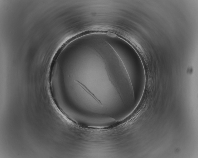 X0000095550992200712141551