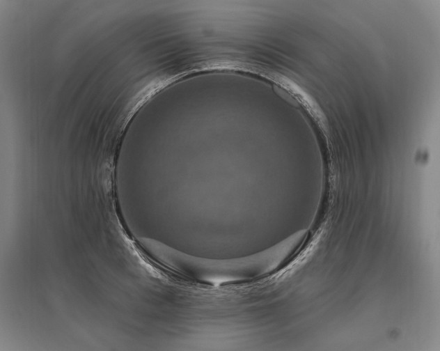 X0000095550993200712141551