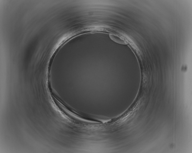 X0000095550994200712141551