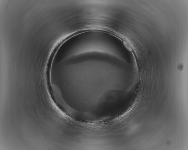 X0000095550995200712141551