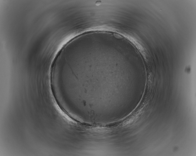 X0000095550998200712141551