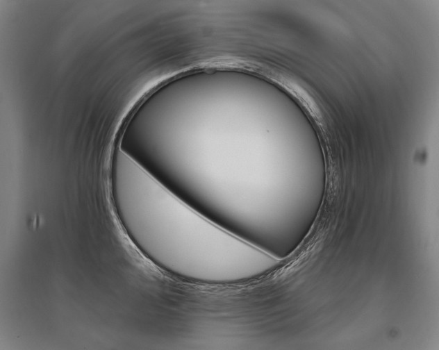 X0000095551000200712141551