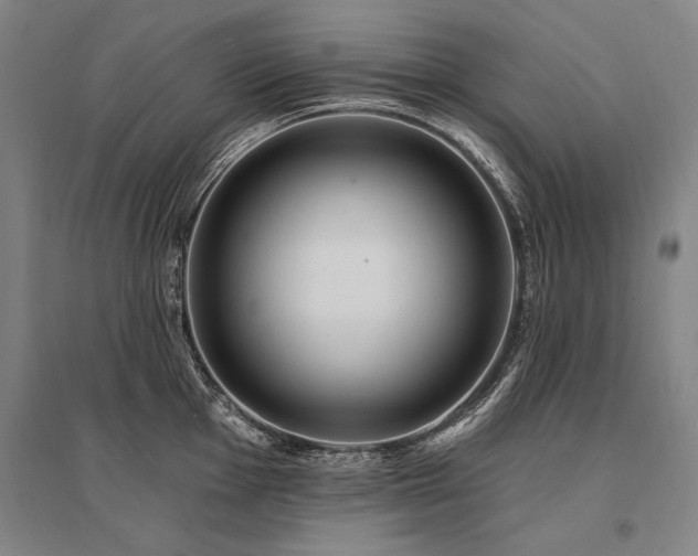 X0000095551001200712141551