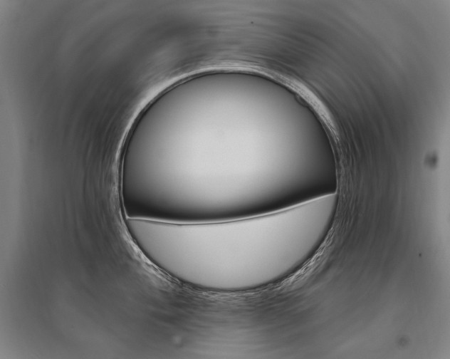 X0000095551004200712141551