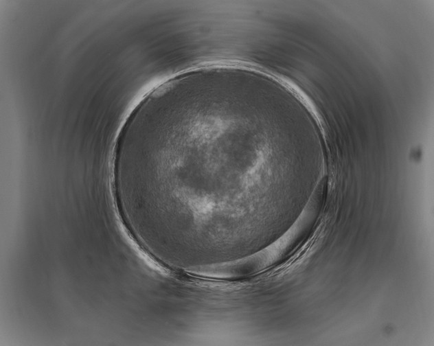 X0000095551005200712141551