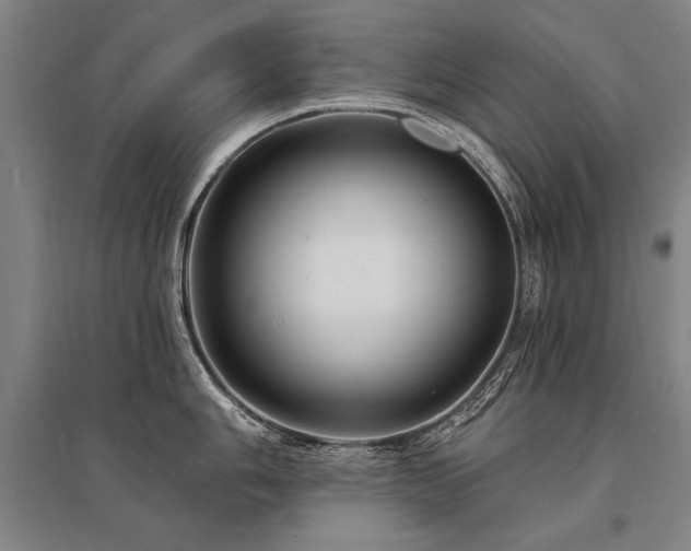 X0000095551006200712141551