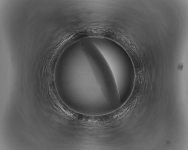 X0000095551009200712141550