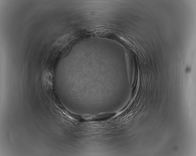 X0000095551010200712141550