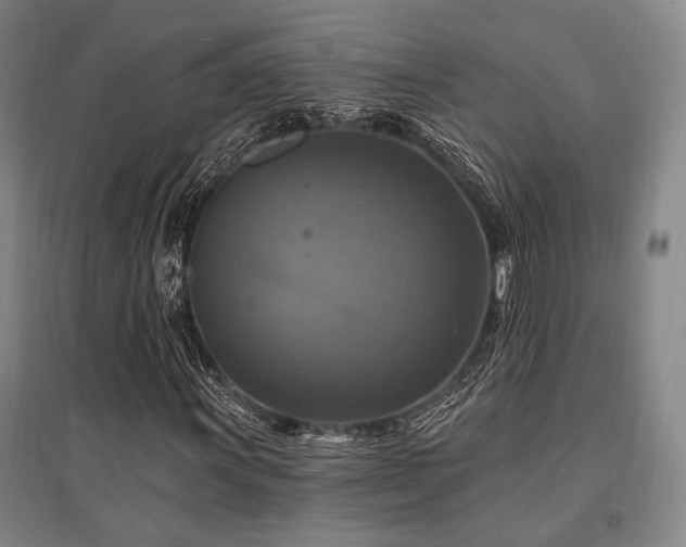 X0000095551011200712141550