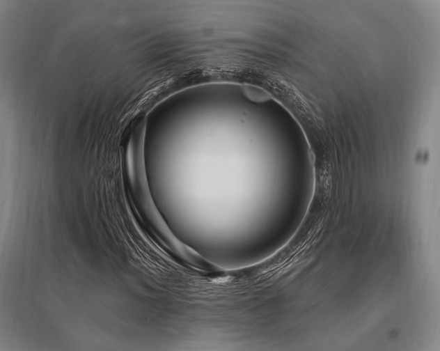 X0000095551012200712141550