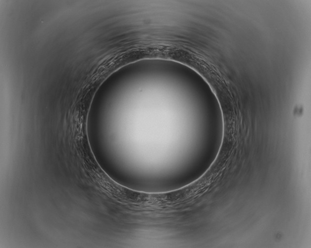 X0000095551013200712141550