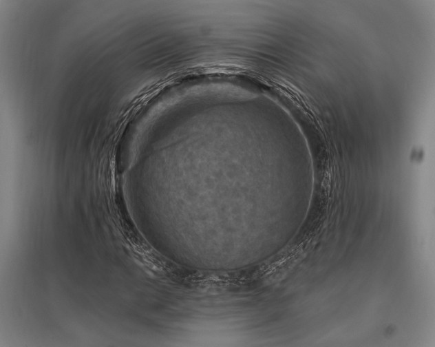 X0000095551014200712141550