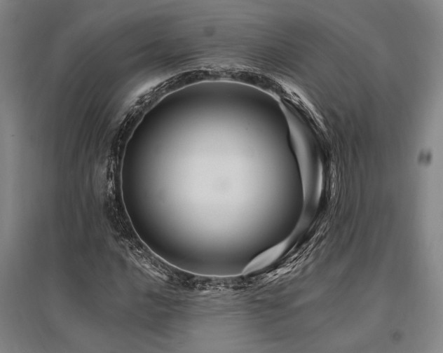 X0000095551016200712141550