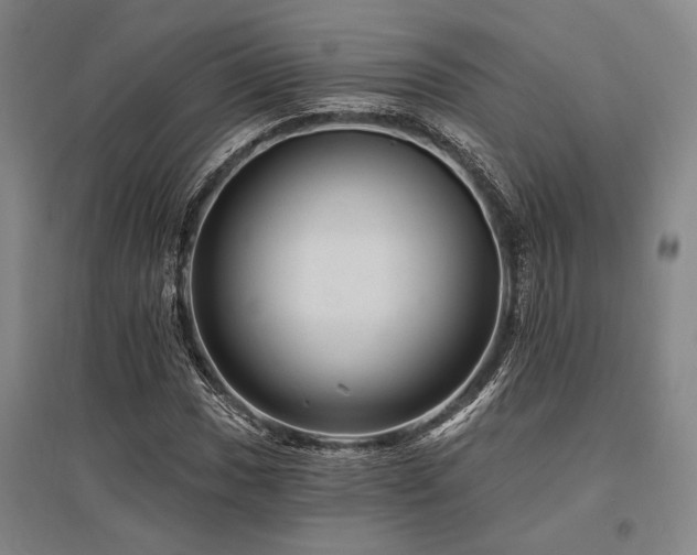 X0000095551017200712141550