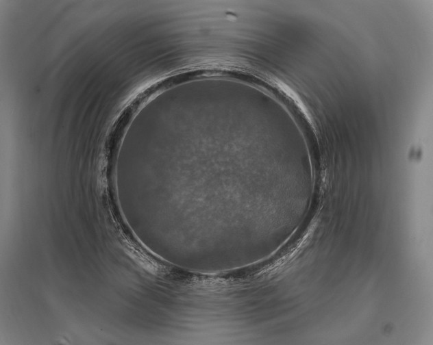 X0000095551019200712141550