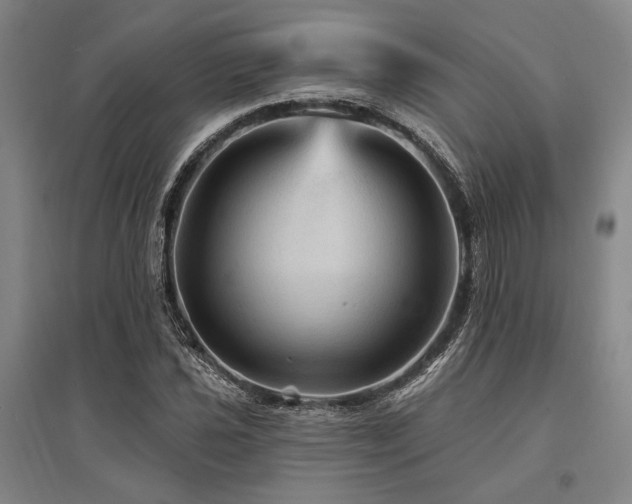 X0000095551021200712141550