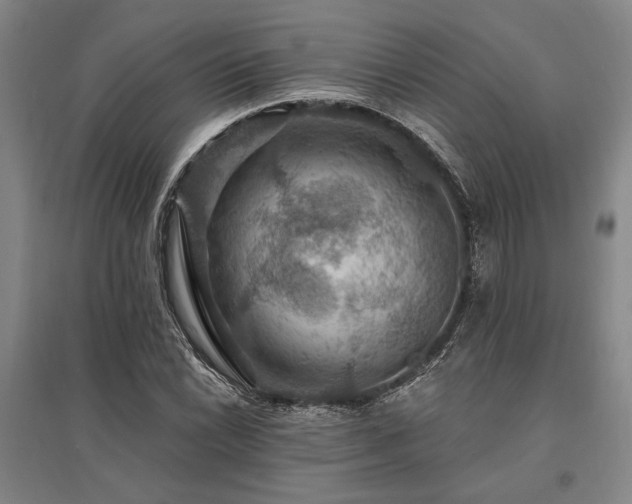 X0000095551022200712141550