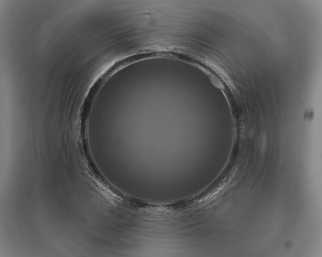 X0000095551023200712141550