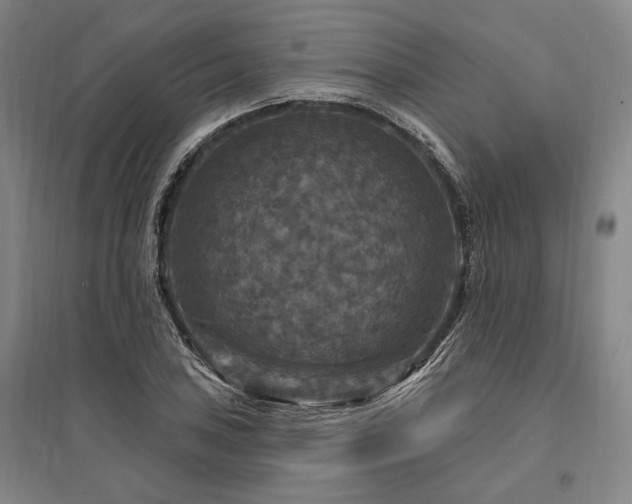 X0000095551027200712141550