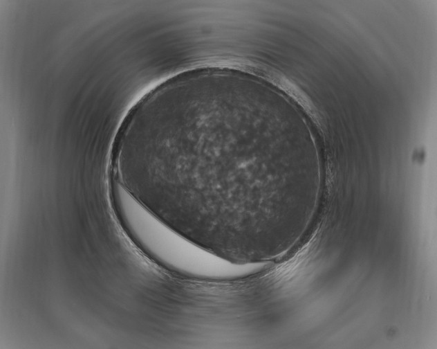 X0000095551028200712141550