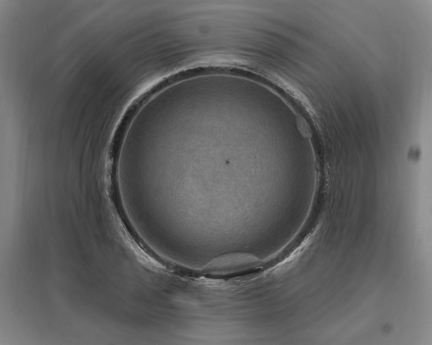 X0000095551029200712141550