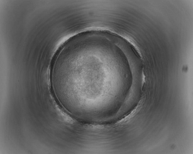 X0000095551030200712141550