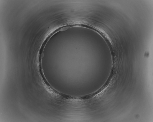 X0000095551031200712141550