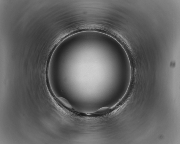 X0000095551033200712141550