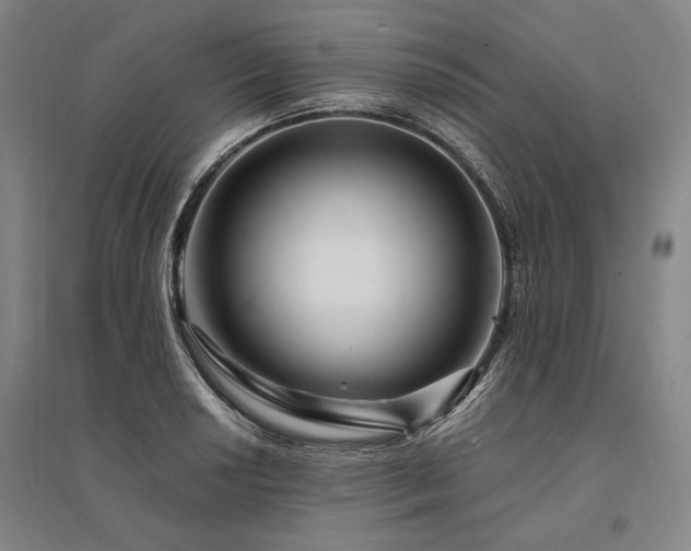 X0000095551034200712141550